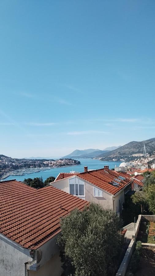Megi * Dubrovnik